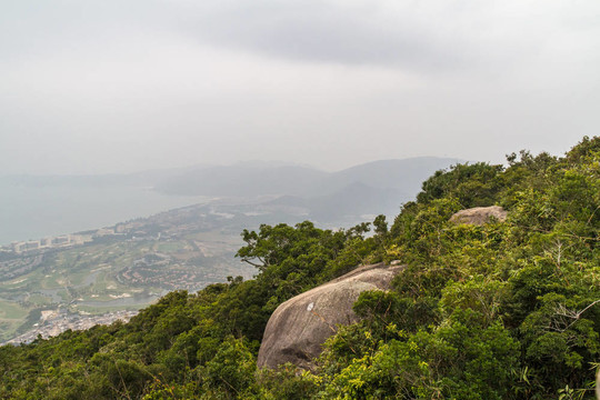 中國(guó)叢林；海南島