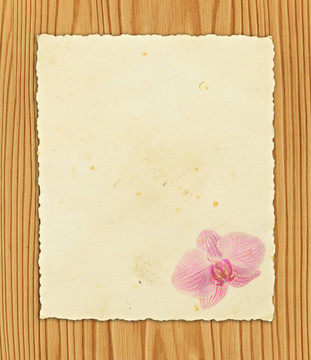 本文對(duì)木材