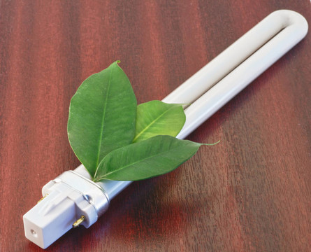 生態(tài)燈節(jié)能與綠色價(jià)值觀
