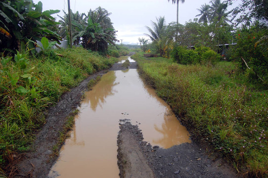 在巴布亞村被洪水淹沒的道路