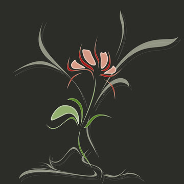 黑暗中的花