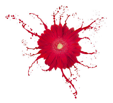 紅色的花