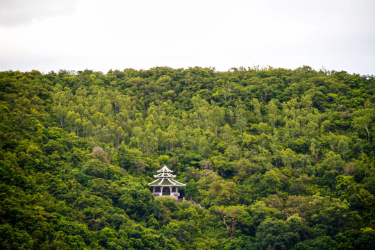 在泰國島