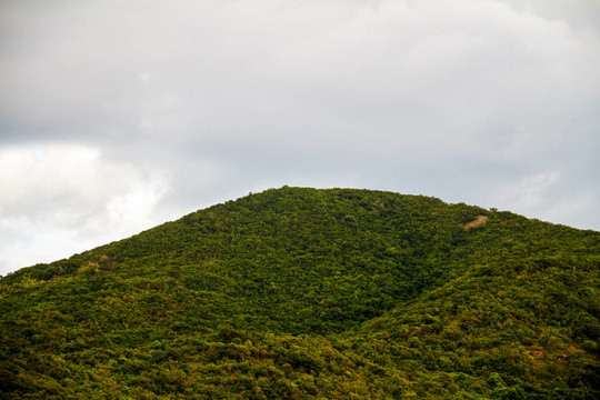 在泰國島
