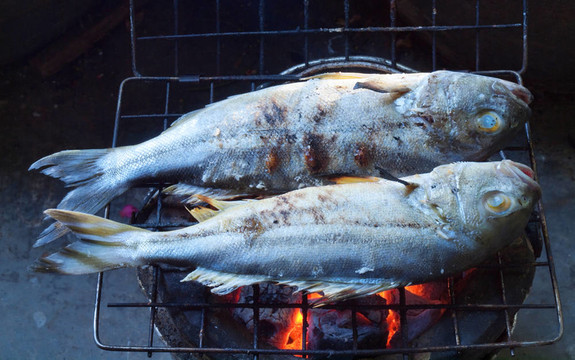 魚(yú)烤