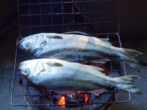 魚烤