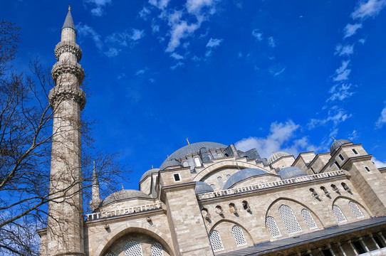 Suleiman Mosque 09
