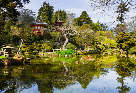 日本茶園