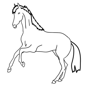 黑色的馬