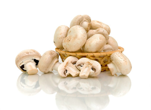 蘑菇（Agaricus）里的白色背景
