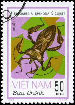 越南-大約1982案的Squashbug