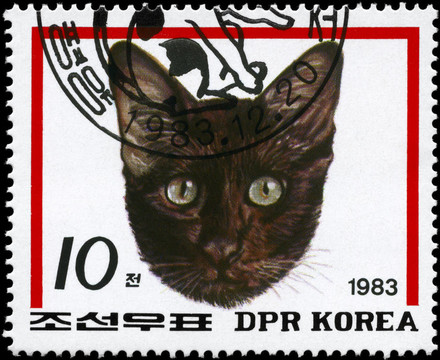 朝鮮大約1983的貓（紅色）
