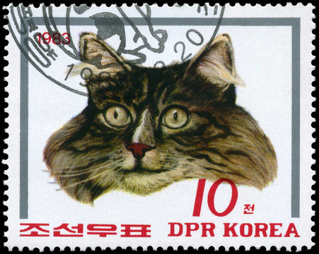朝鮮大約1983的貓（灰色）