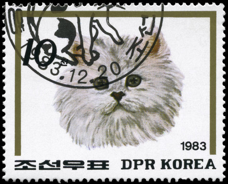 朝鮮大約1983的貓（橄欖綠）