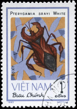 越南大約1982的壁球錯誤