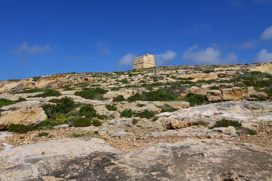 科米諾和戈佐島島的景觀