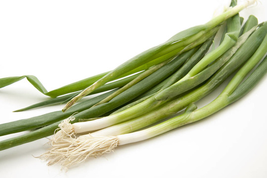 韭菜根