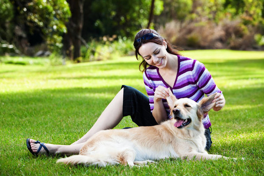 年輕的女人揪耳朵的金毛獵犬