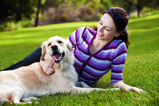 在草地上的年輕女人和金毛獵犬