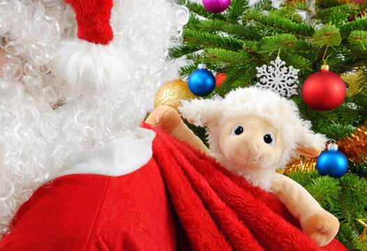 Santa袋子里的甜釀動物