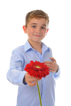 男孩花
