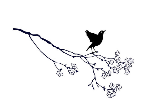 白色背景上樹枝上的鳥