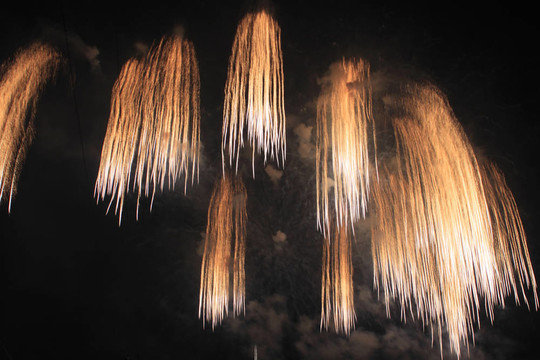 夜空中的煙花