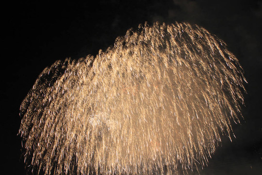 夜空中的煙花