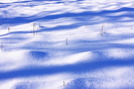 冬季和冬季雪下運動
