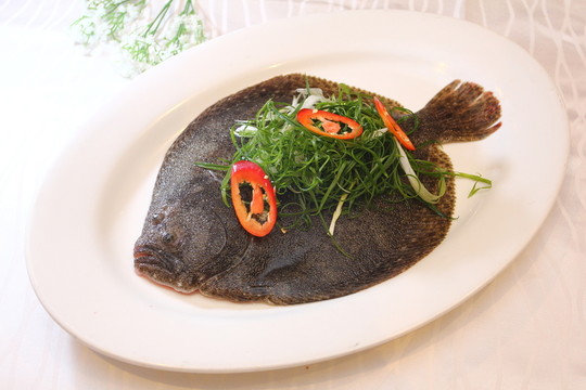 多寶魚