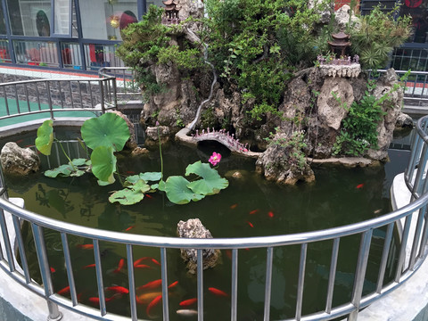 水池  魚(yú)塘