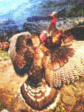 雞