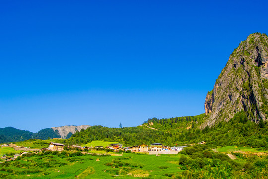 川西草原