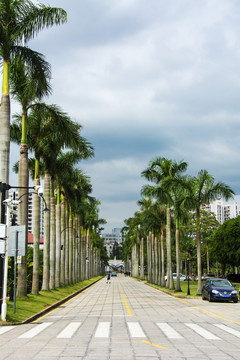 廈門大學(xué)