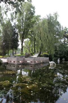 公園圖片