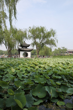 公園亭子
