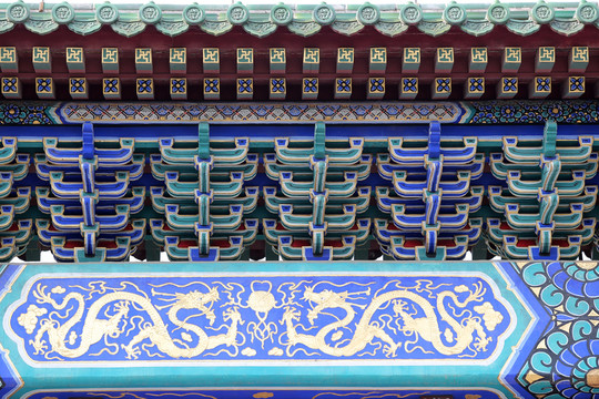 古代園林龍形圖案背景