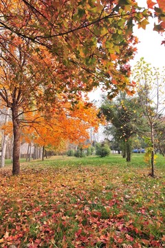 公園風景