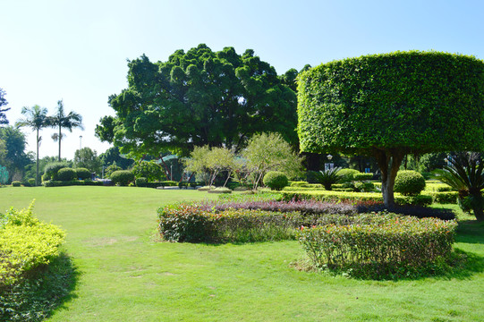 金牛山公園