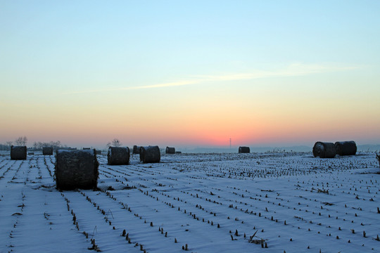 雪后田野 大草捆