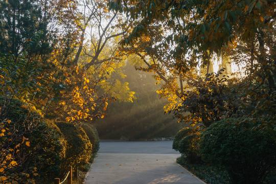 泉城公園