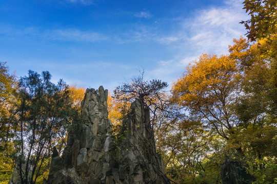 公園