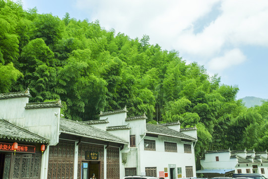 木坑竹海 游客中心