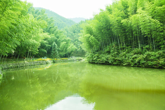 木坑竹海