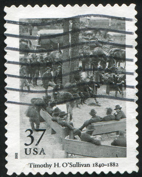 照片由Timothy Sullivan