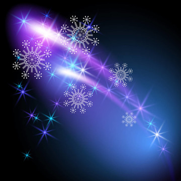 雪花和敬禮