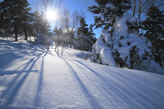 滑雪場