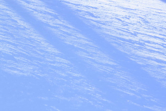 雪地