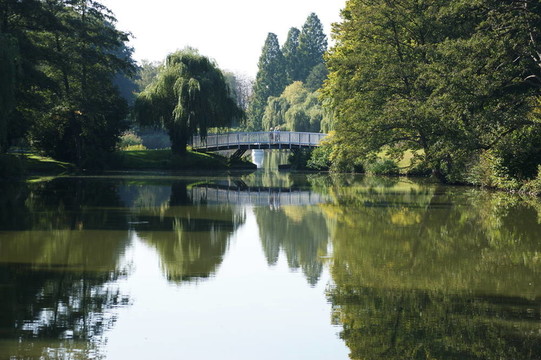 在公園里