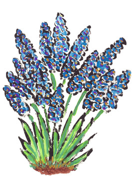 第一泉flowers Muscari